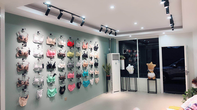 以品牌格局致胜浅谈香港micisty密汐皙迪品牌内衣的人文情怀