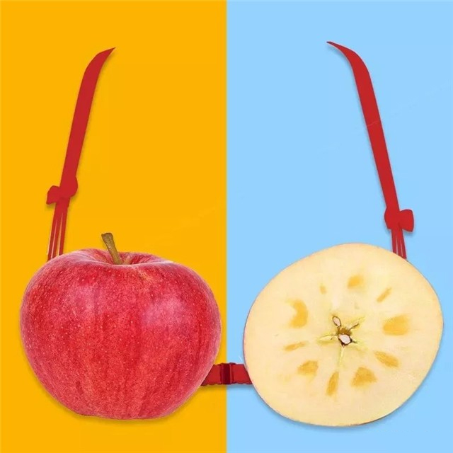 胸abcd拿水果比喻图片